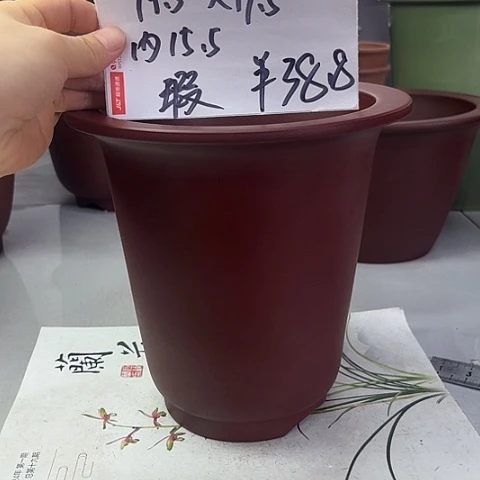 紫砂3865675686557557885588