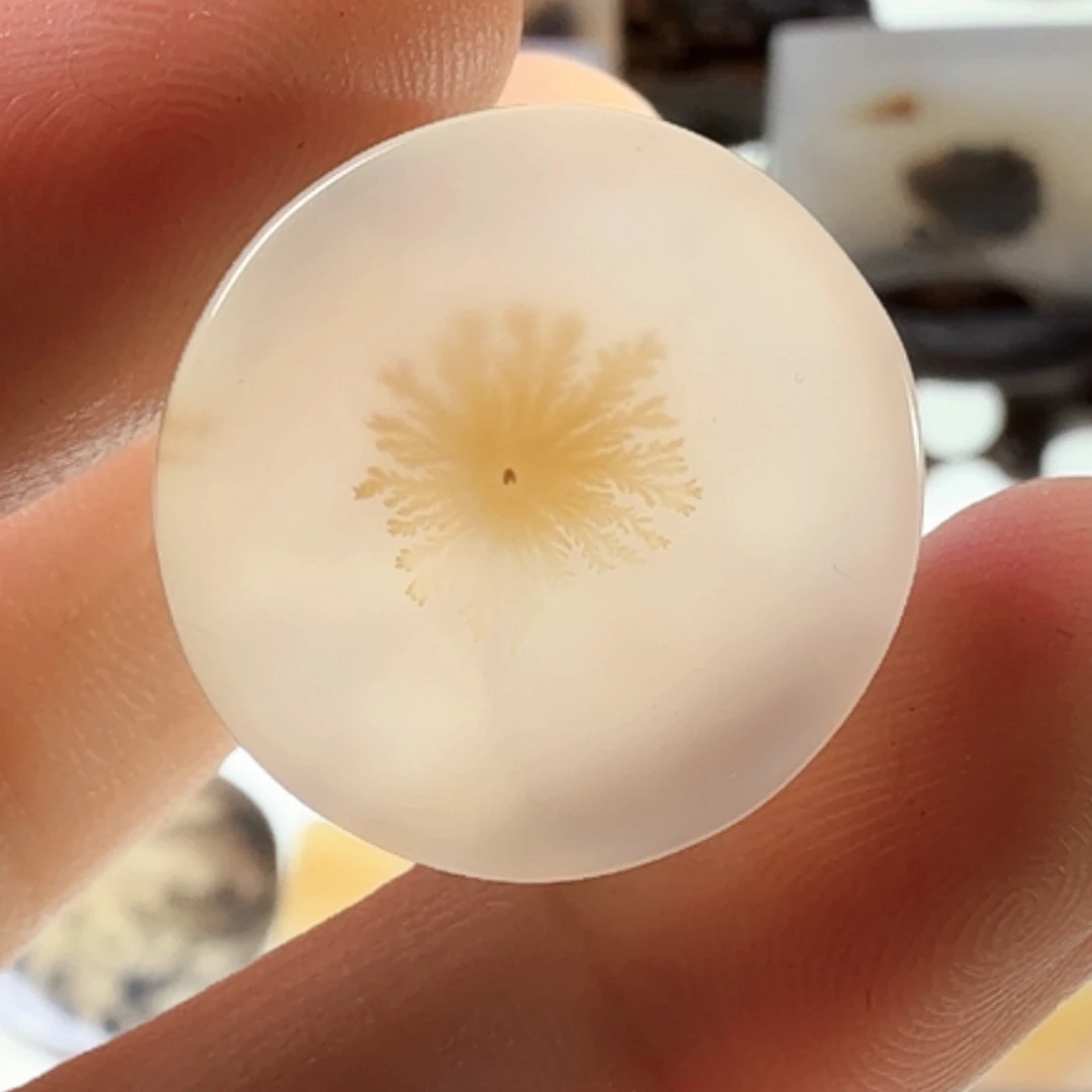 玛瑙/玉髓未镶嵌珠宝半成品