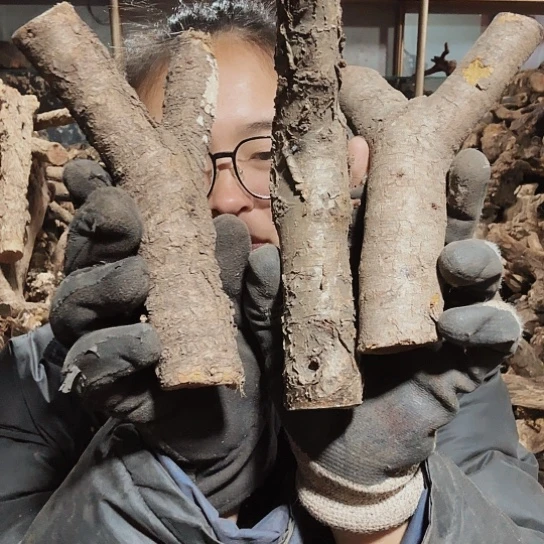 香榧木哪***_火琉璃的毛看看百家姓