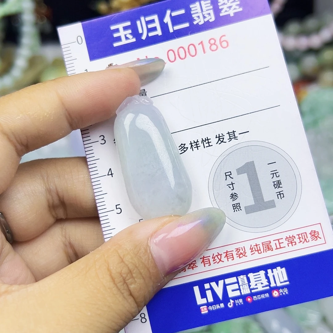 翡翠未镶嵌颈饰-111