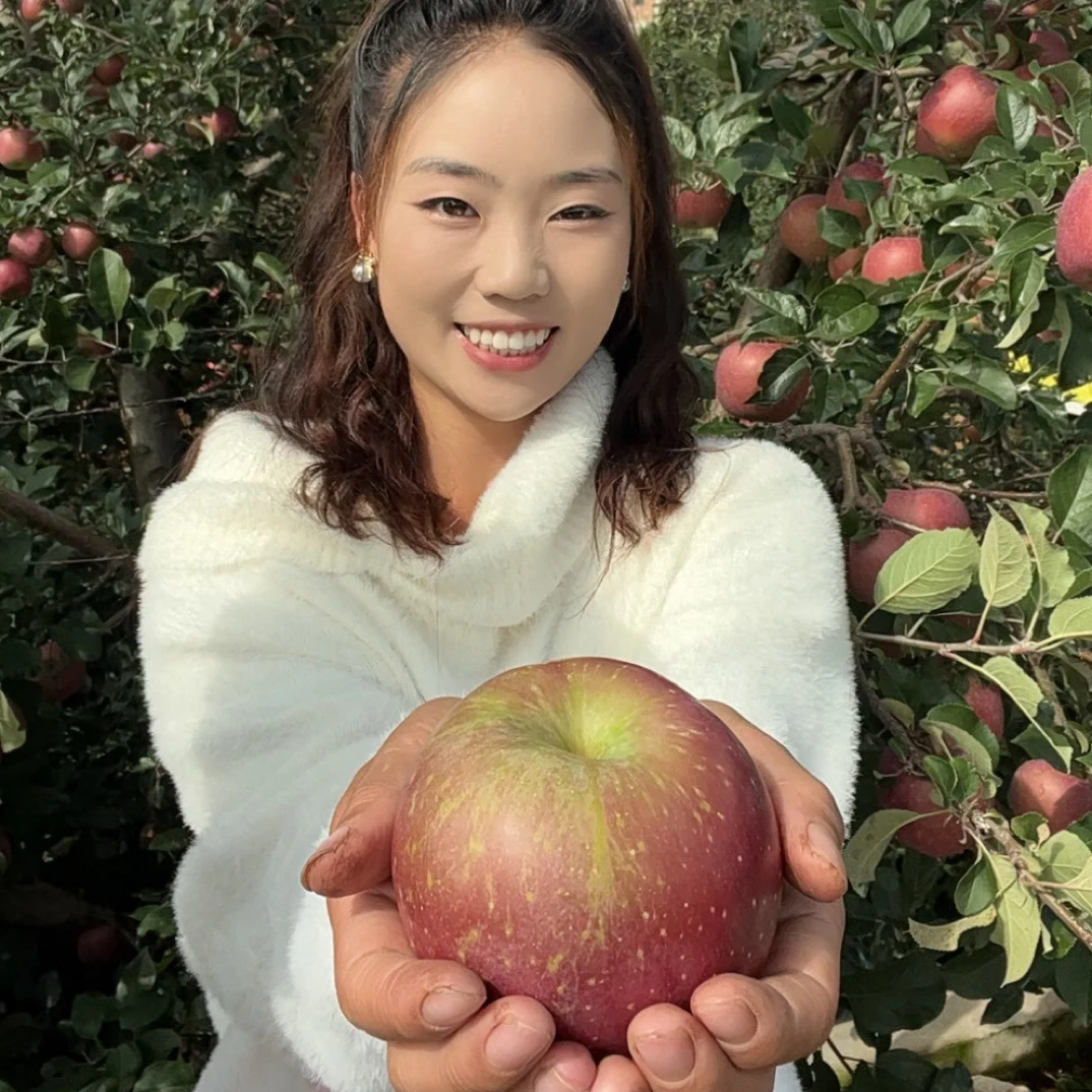 云南昭通丑苹果当季新鲜脆甜冰糖心水果现摘现发