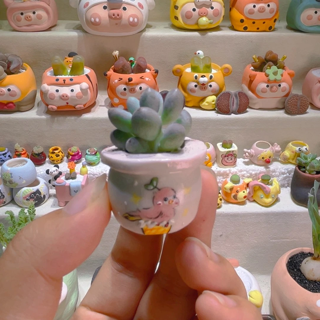 008草莓汤圆带盆带土手工盆