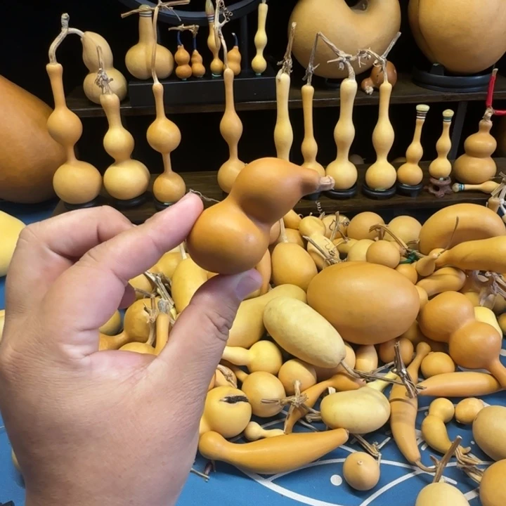 宇***术给我后来咯嘻嘻嘻嘻嘻嘻