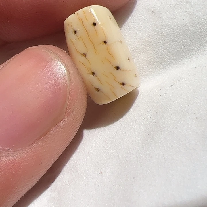 在这里的时候就会