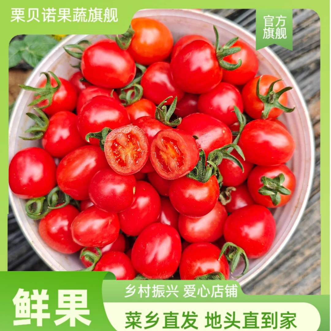 山东寿光圣女果新鲜小番茄水果当季蔬菜生吃自然熟孕妇西红柿千禧
