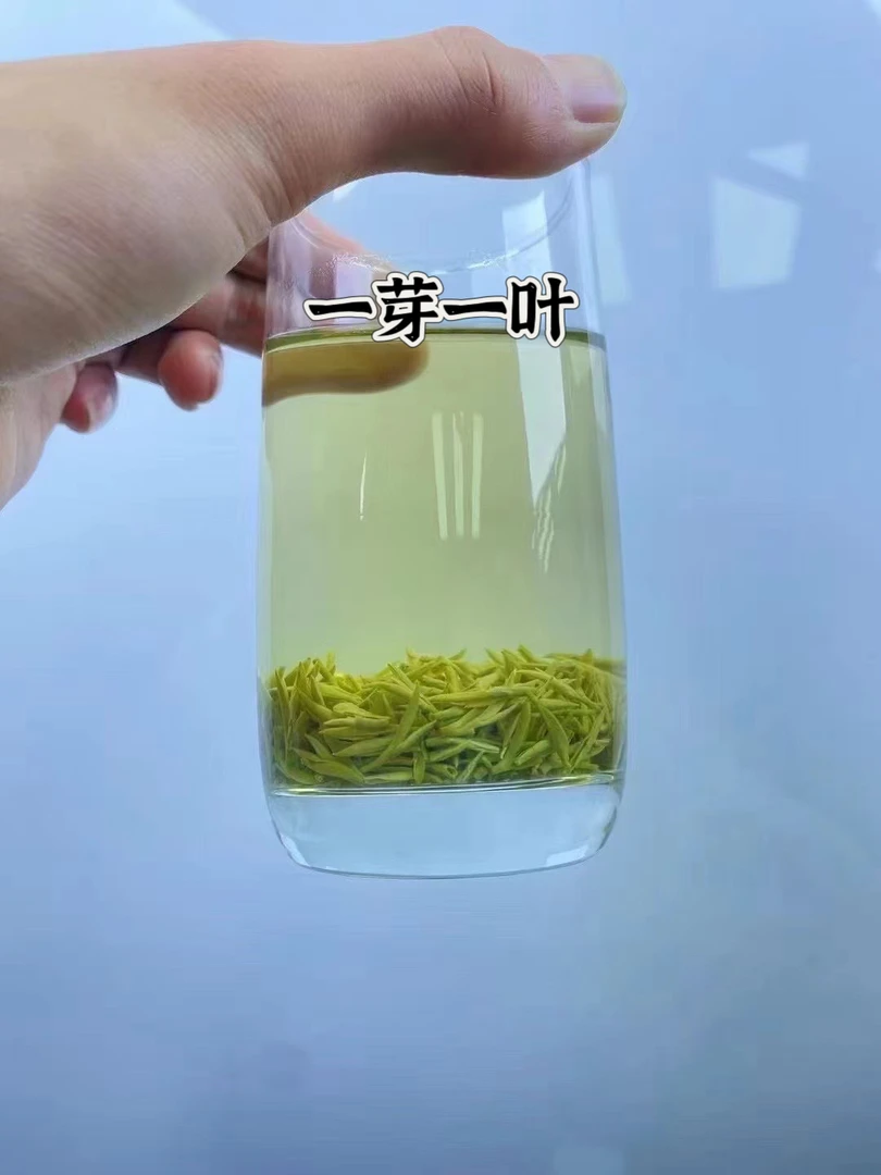 一芽一叶2025新茶洞庭碧螺春原产地直发