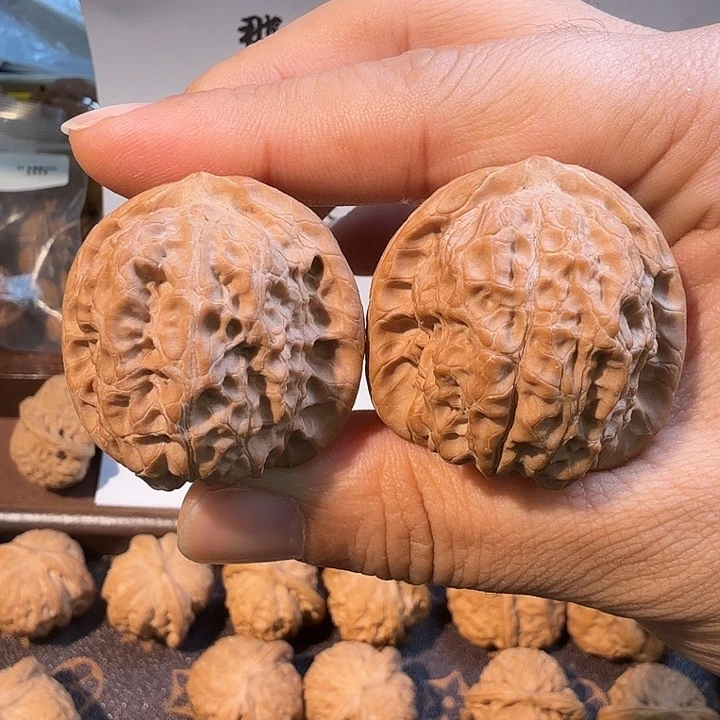 核桃37尺全品血麒麟核桃