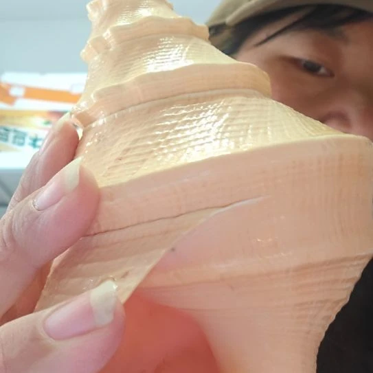 石材吹响号角海螺