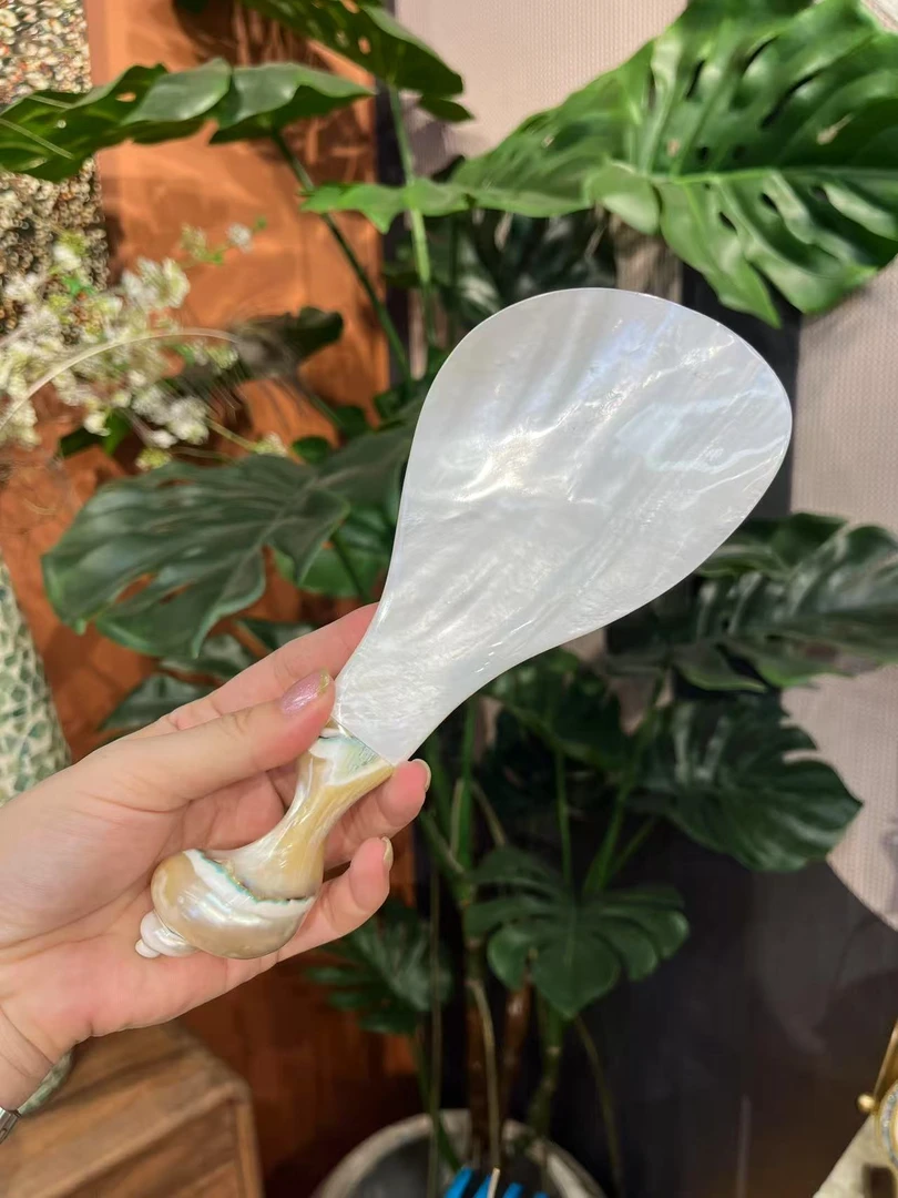 天然贝壳饭勺饭铲子海螺款