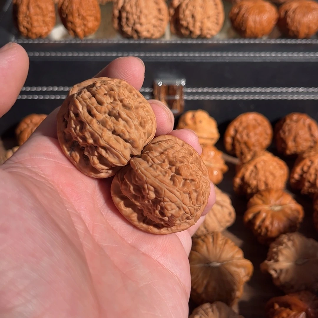 手串/手链核桃无**惧39全品三角白