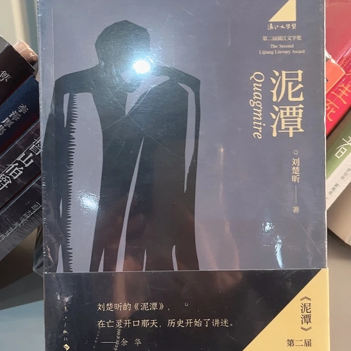 泥潭新书推荐全新