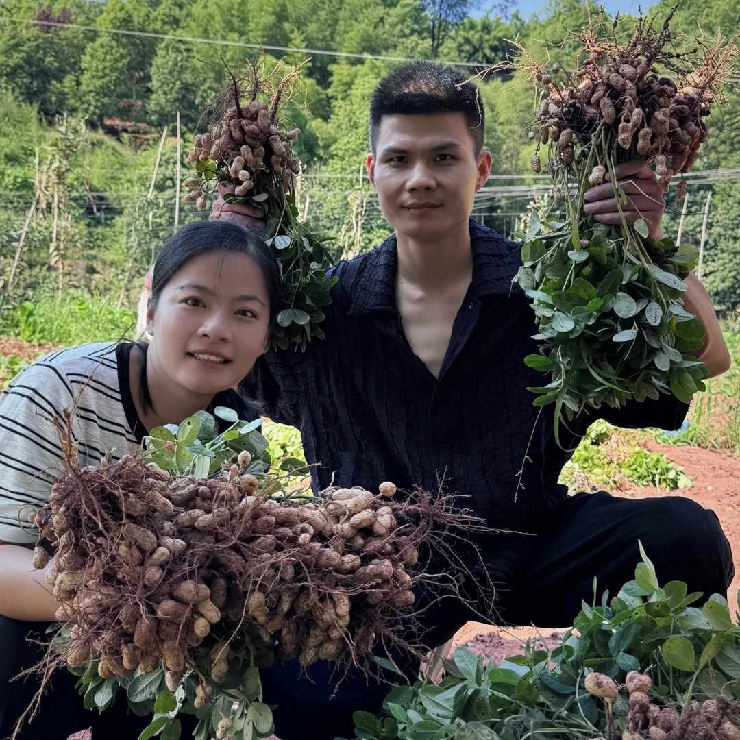 【顺丰包邮】2025新鲜粉皮花生水果花生现挖带壳湿花生农家泥巴花生