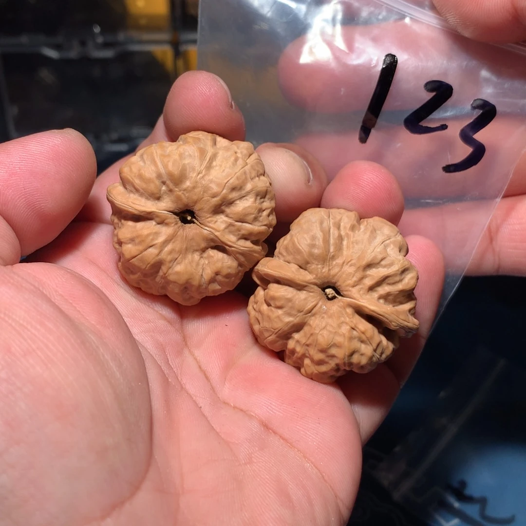 文玩核桃吊坠庄**庄蛤蟆 123