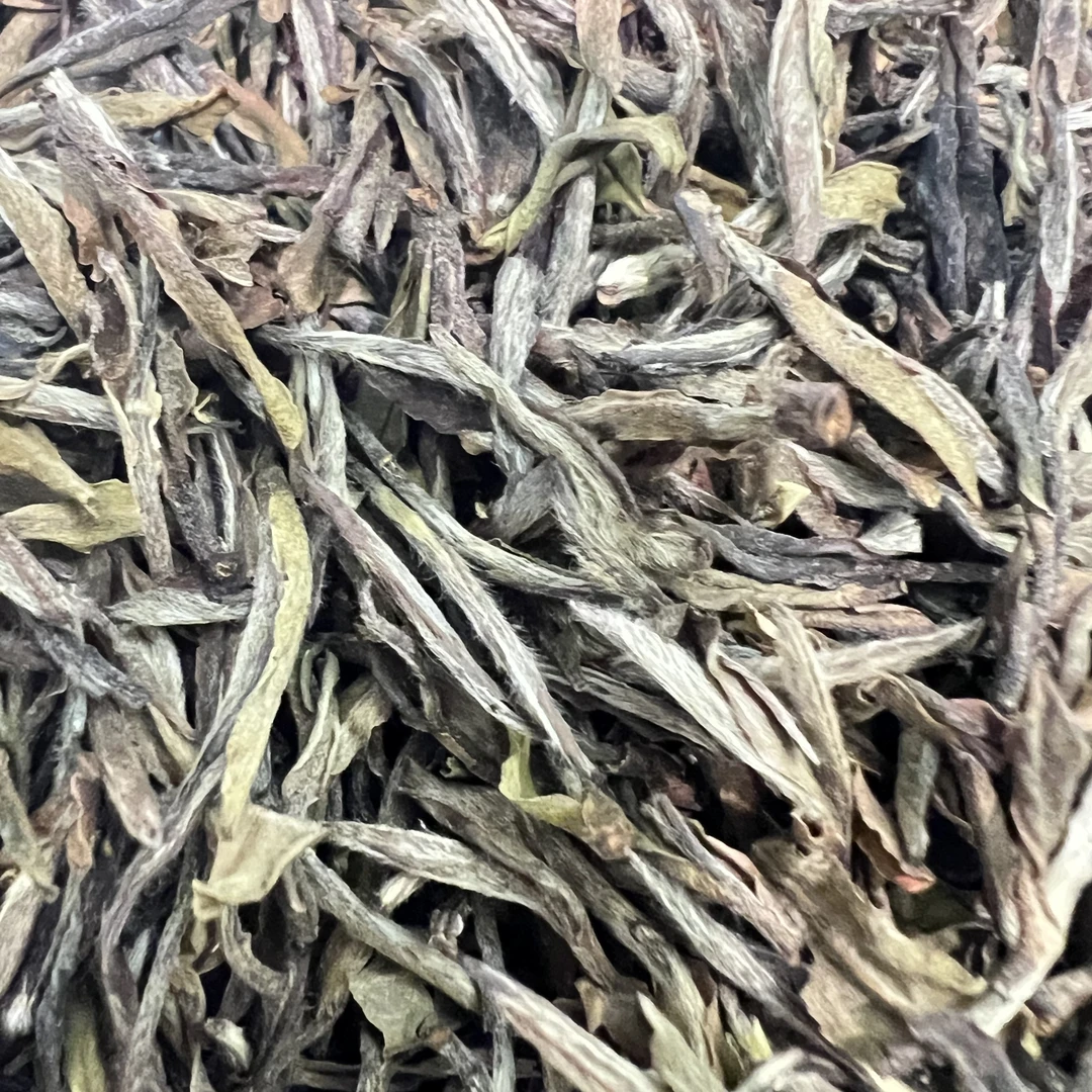 笙韵白茶 2008年荒野贡眉王 福鼎白茶 200克