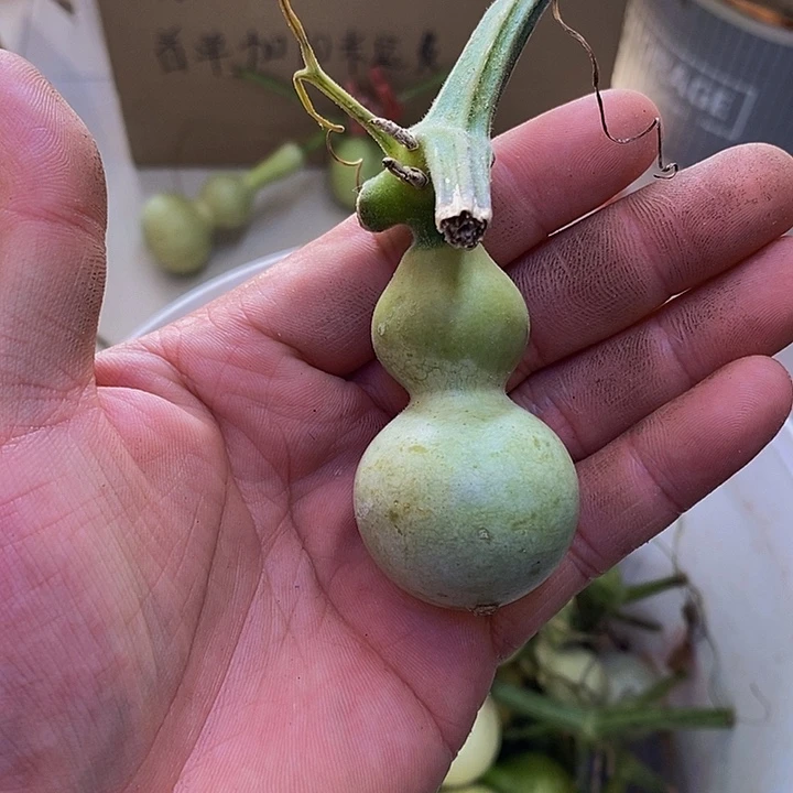 小**希长嘴哈哈哈哈哈哈哈哈哈哈哈