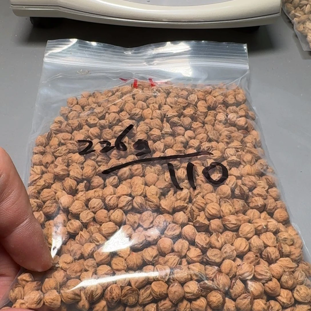 柏香籽/百香籽吊坠m*