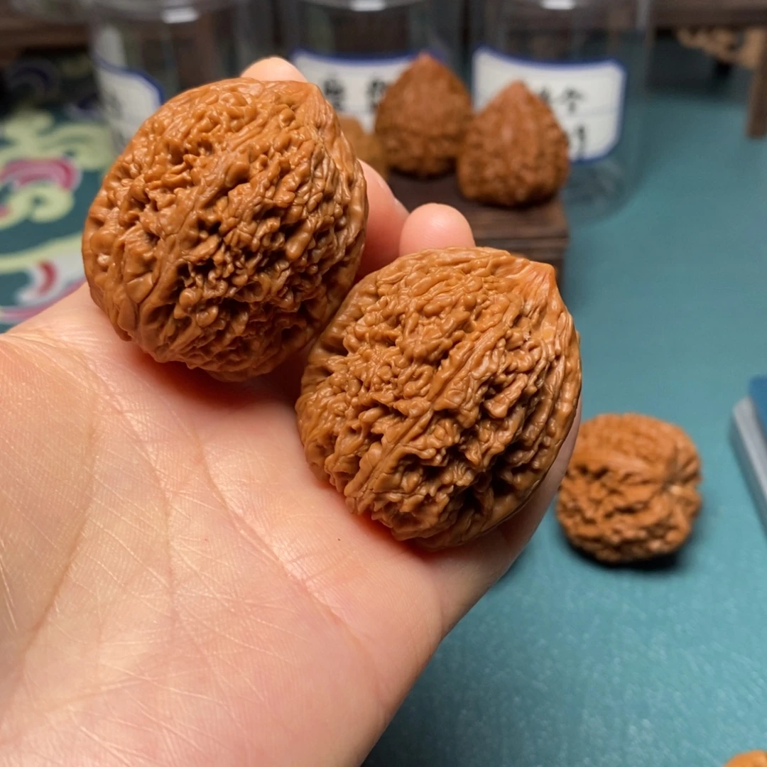 核桃36尺大蒜头修