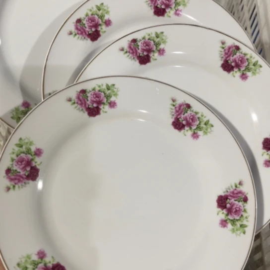 库存陶瓷瑕疵不影响使用慎拍22.5cm