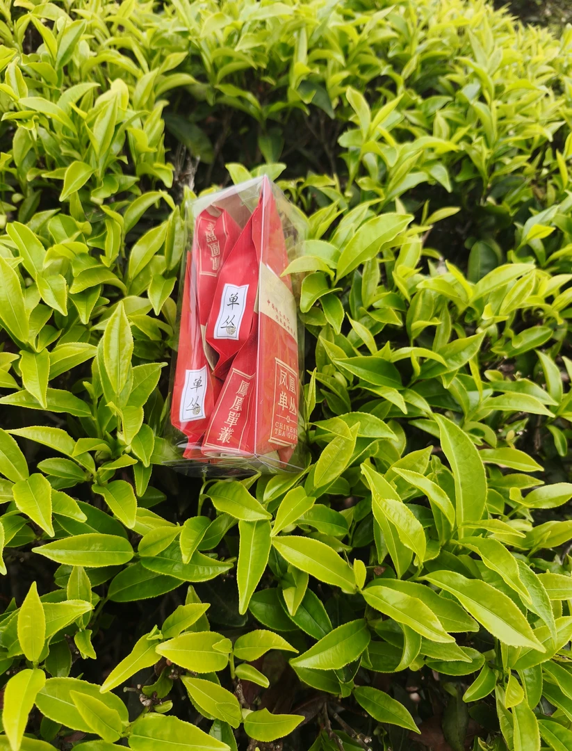 凤凰单丛品鉴装4种试喝装