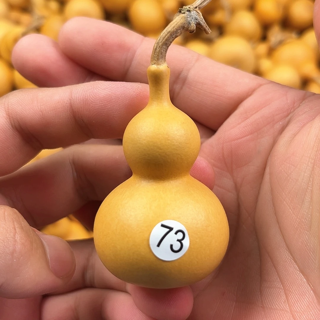 一葫芦葫芦葫芦葫芦73