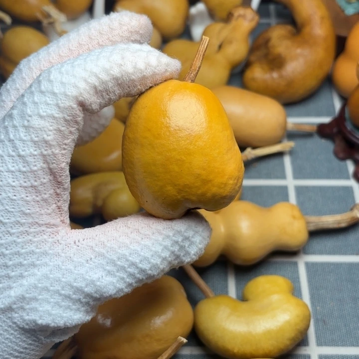 乐***女葫芦6666666666666666