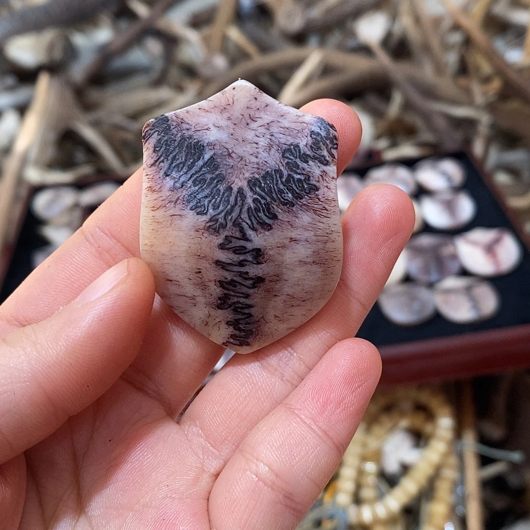 非金属三界三界三界