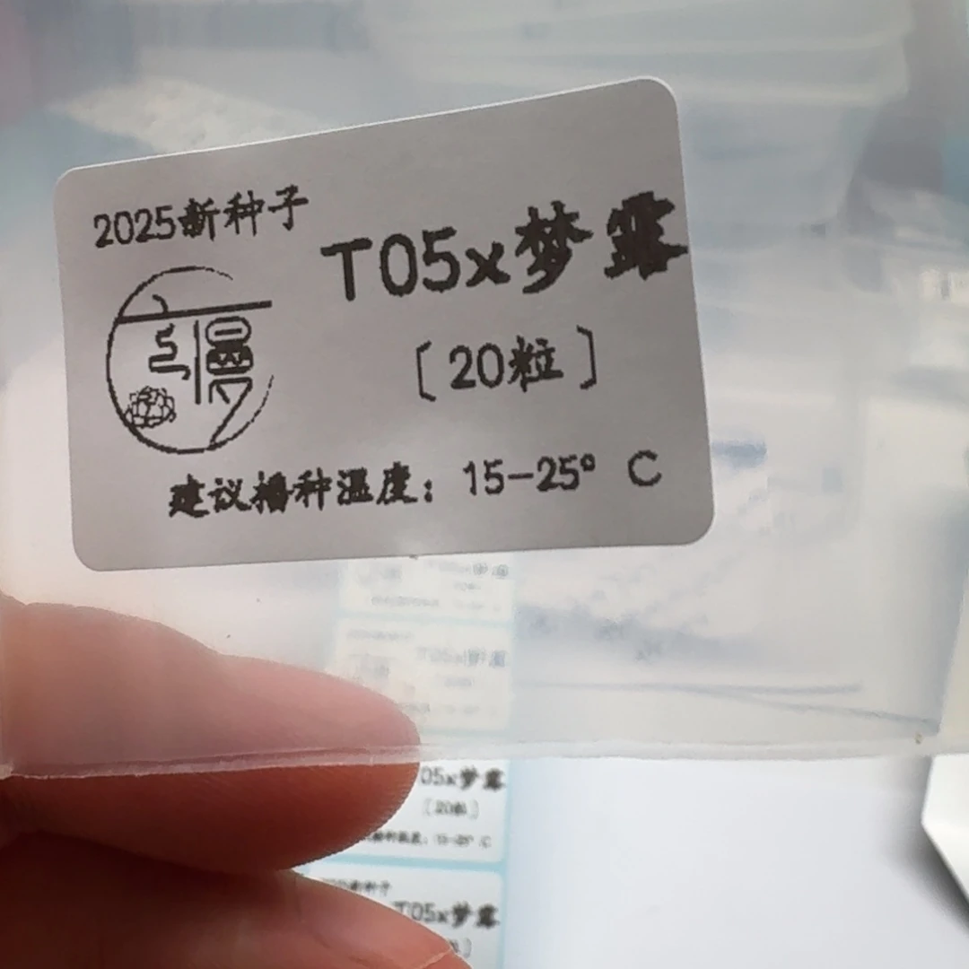 如图2025新种子T05珍妮系列20粒