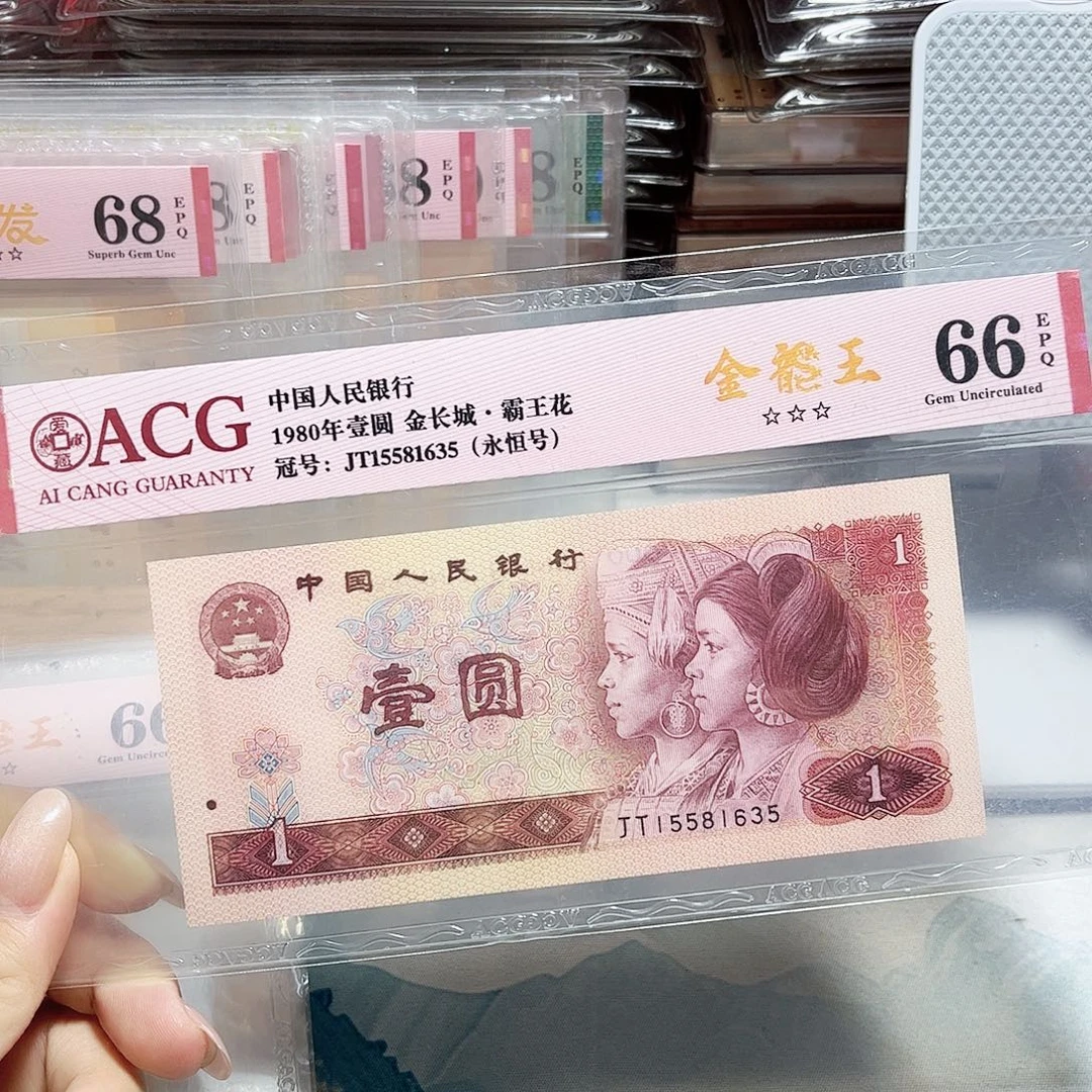 15581635。。。。。金龙王