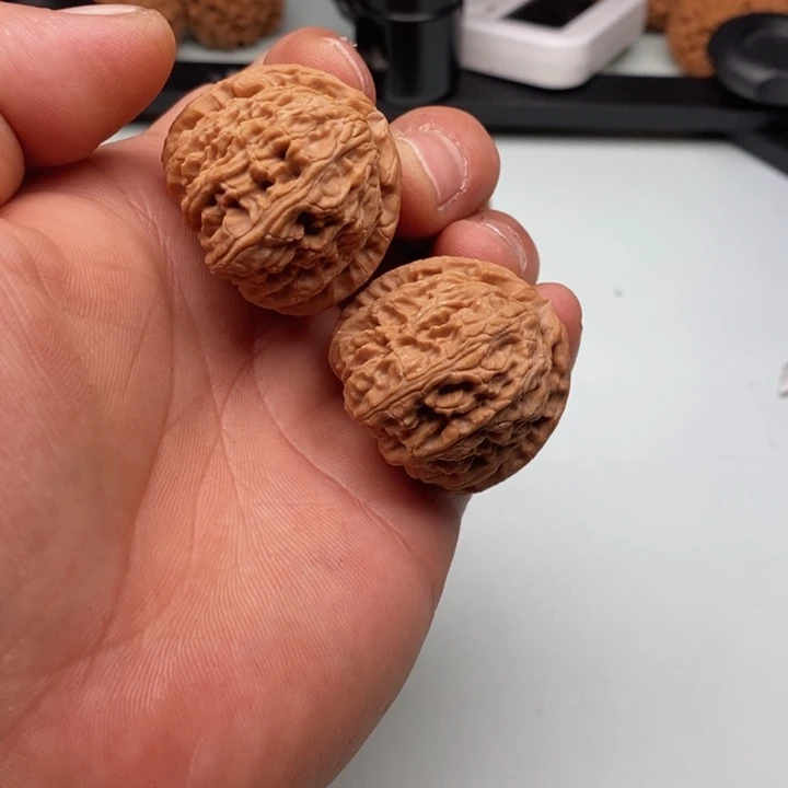 猴头核桃吊坠泽核桃