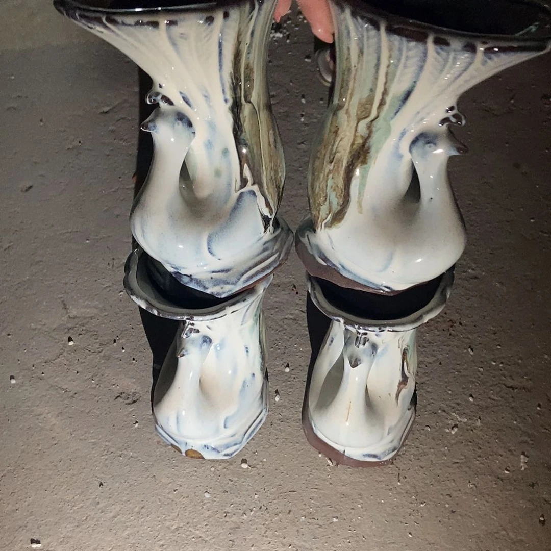 花盆里栽松了一棵