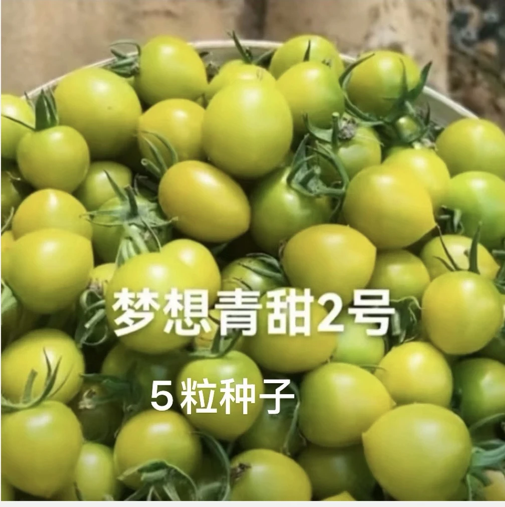 种子组合：梦想青甜2号➕白兔子传家宝➕黄色恋情➕卡夫的紫糖➕黄奶油