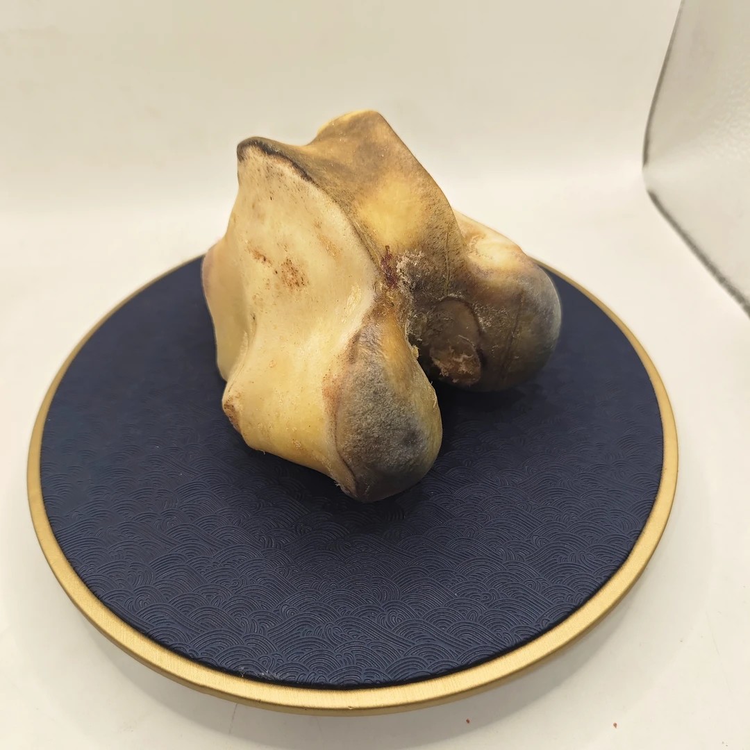 2号B48乎乎推荐时尚 杯