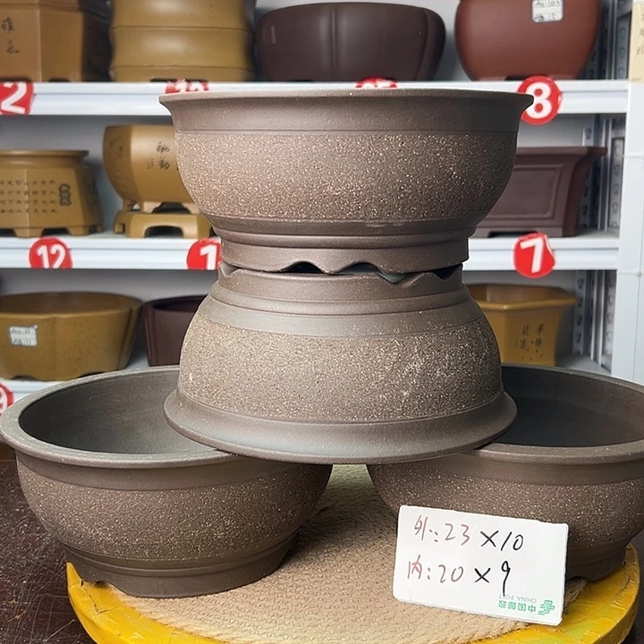 紫砂花盆你在一起