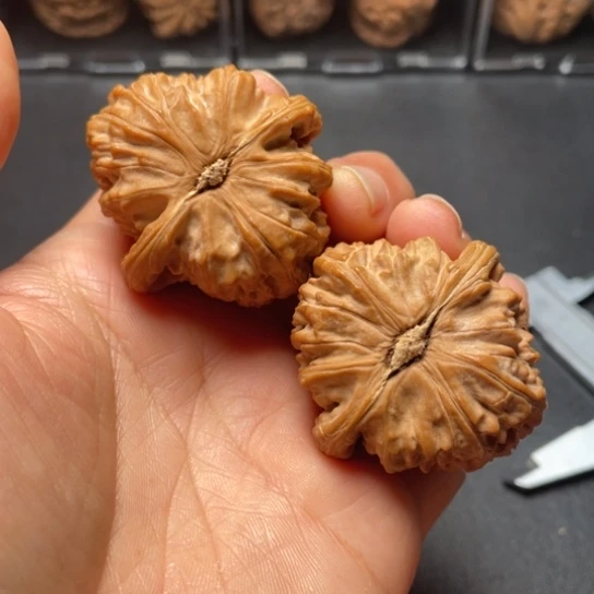 【闪购商品】把件文玩核桃老款白狮子………