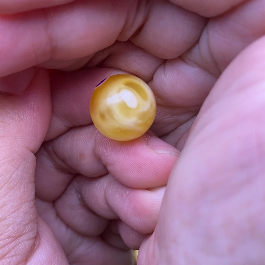 琥珀未镶嵌裸石102