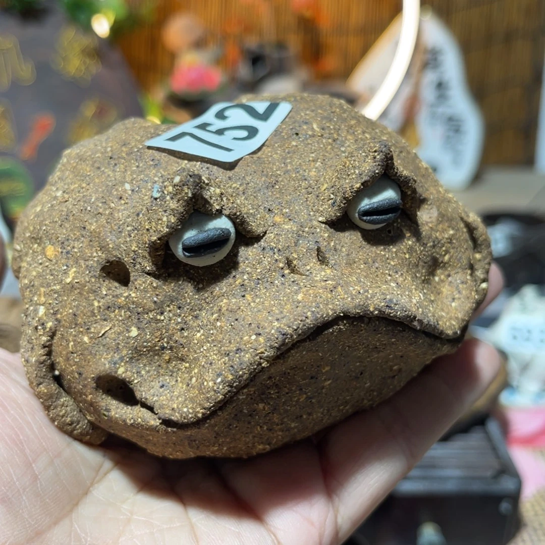 木村信弘柴烧保平