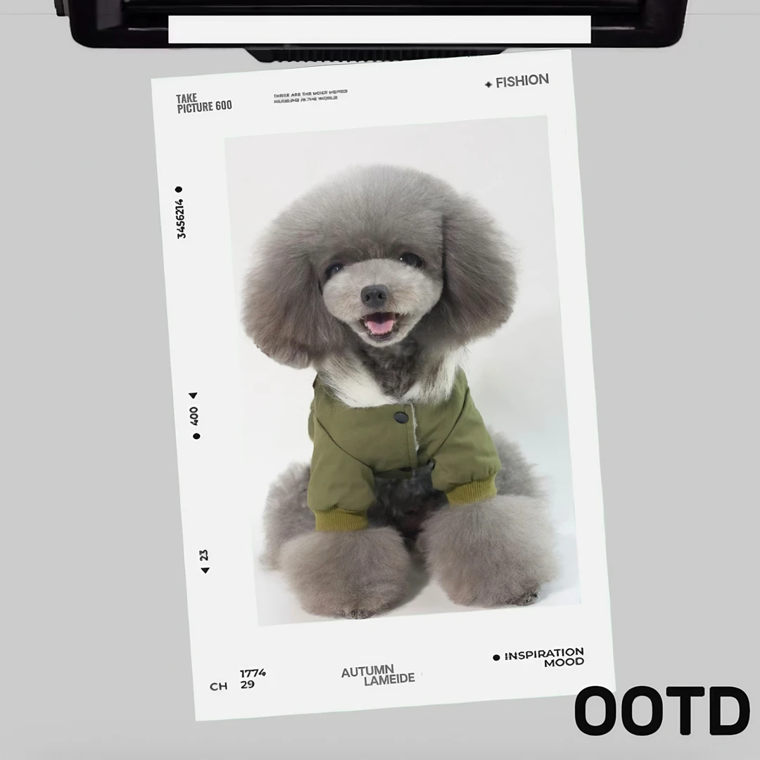 包邮秋冬新款加绒防风保暖工装风小型犬宠物两腿棉衣养狗必备品