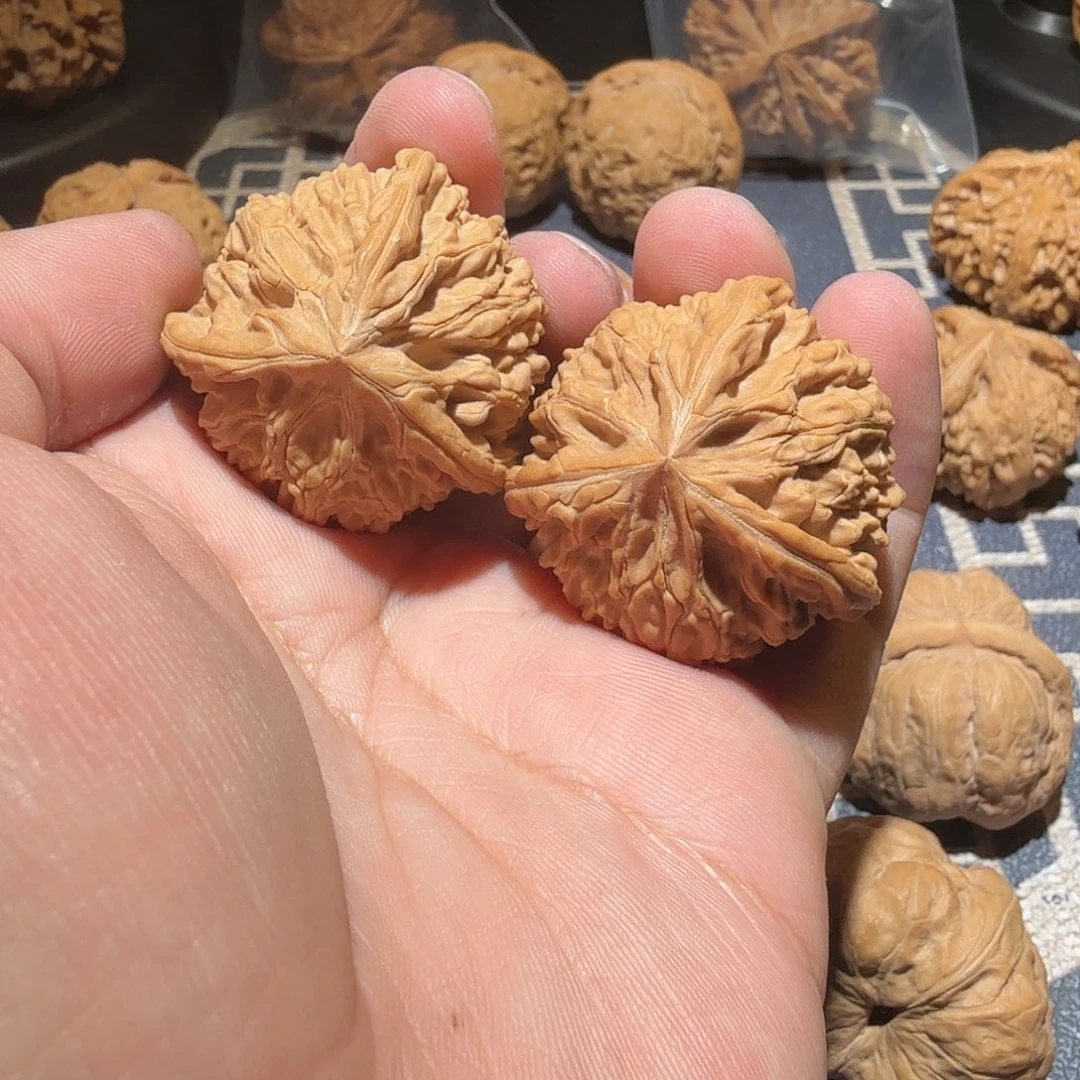 文玩核桃把件御龙