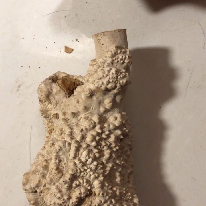 曲***、木木料努力努力努力