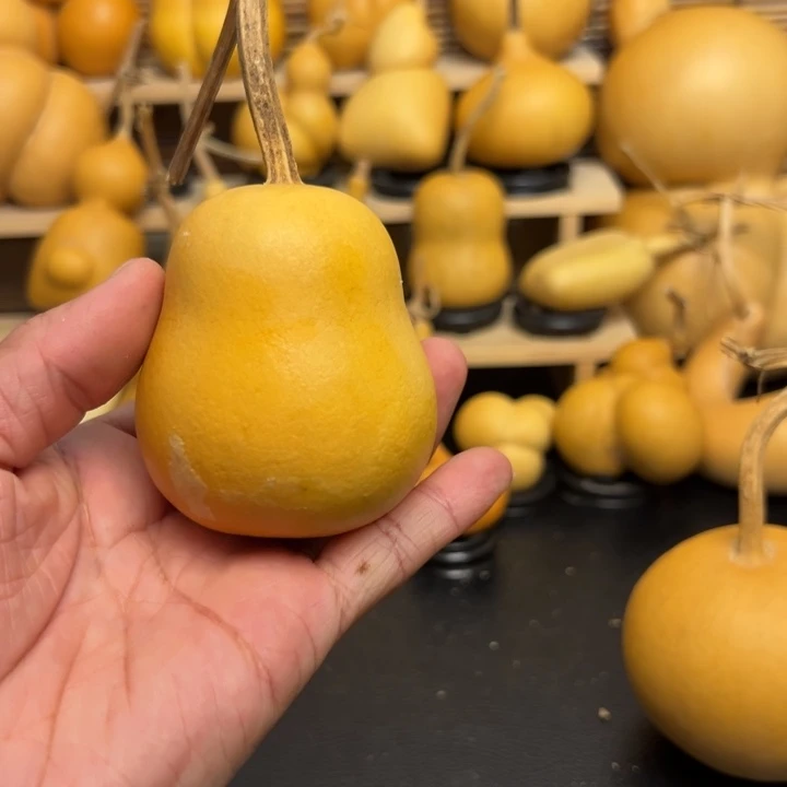 ?**前448888855885269999