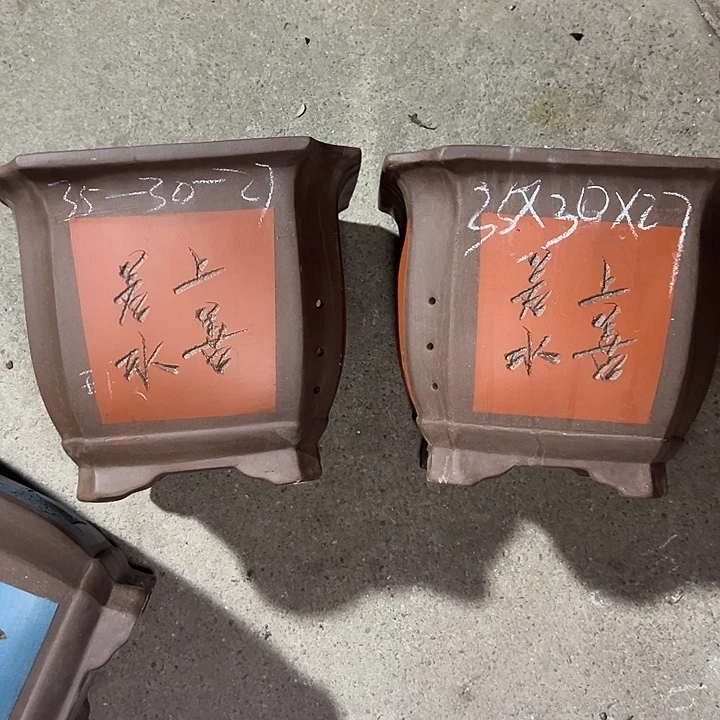 周深周深周深周深