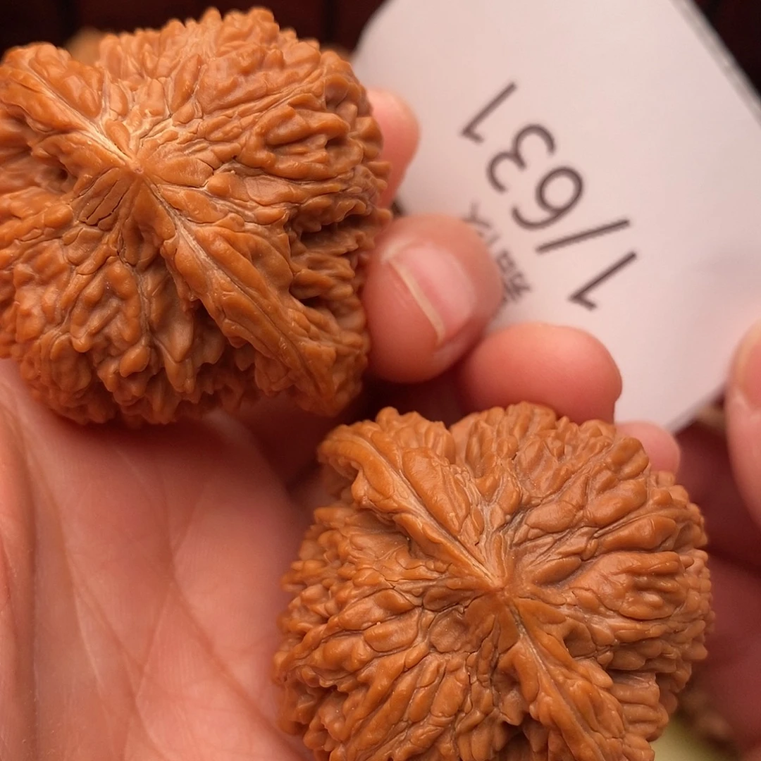 易***把件文玩核桃43满天星