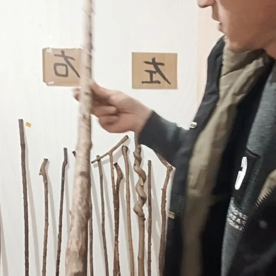 原木直播精品原木