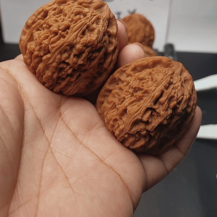 核桃南疆42尺核桃