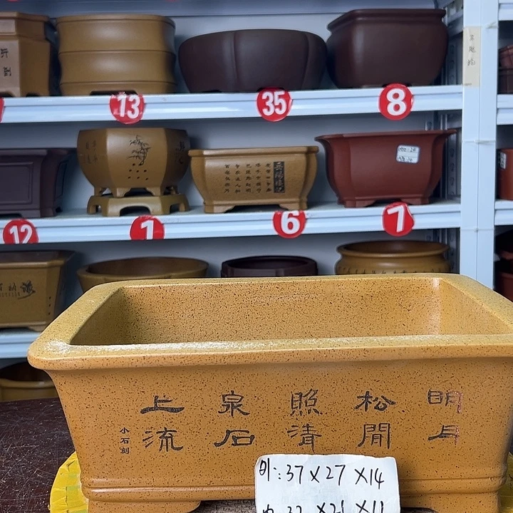 花盆紫砂蛇年大吉