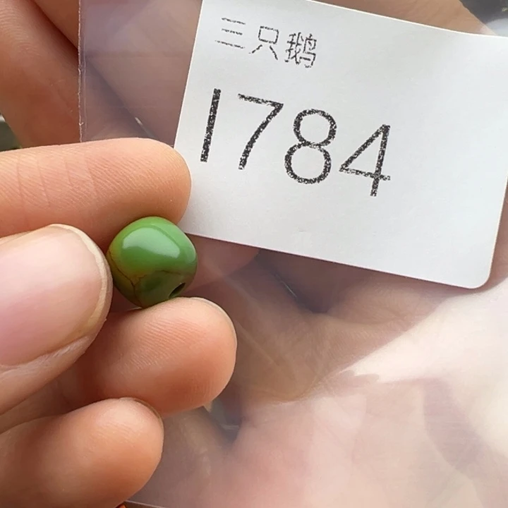 吊坠菩提根/象牙果