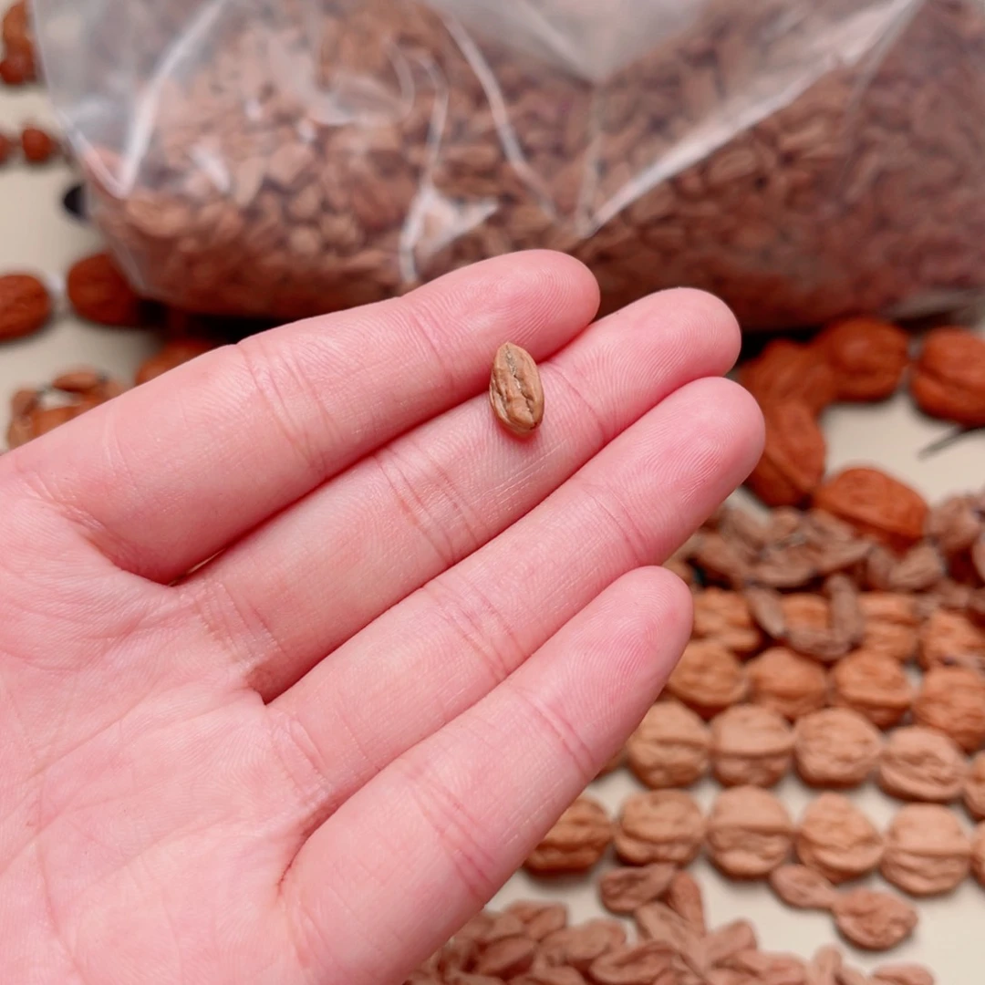 吊坠文玩核桃周*二蛤蟆