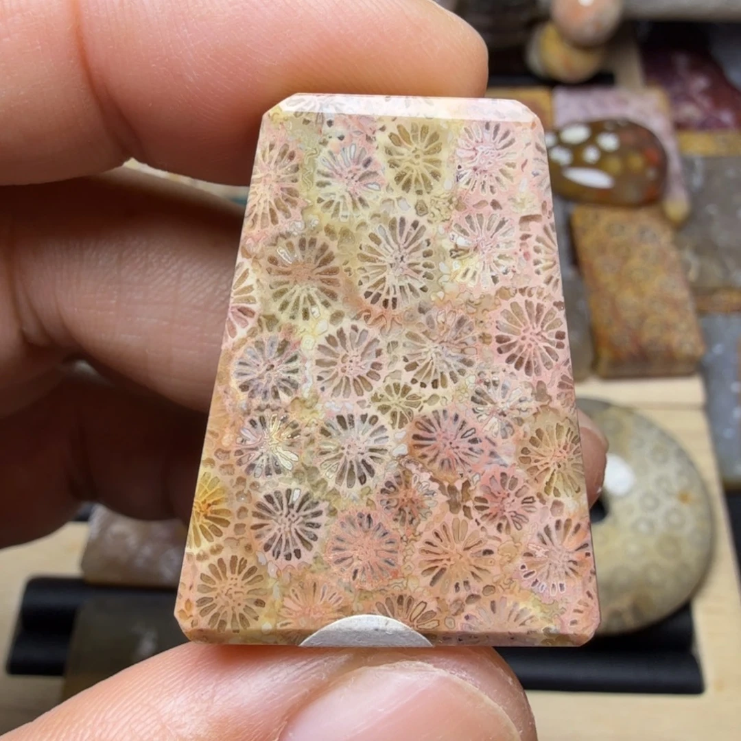 硅化玉未镶嵌纯天然色有机玉石保真色