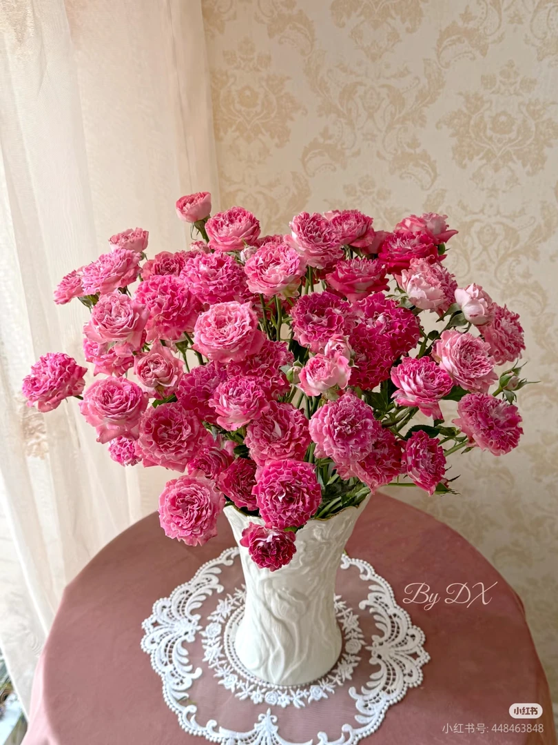 稀有彩虹糖10支 两单包邮一单或低温不拍保温冻坏不售后