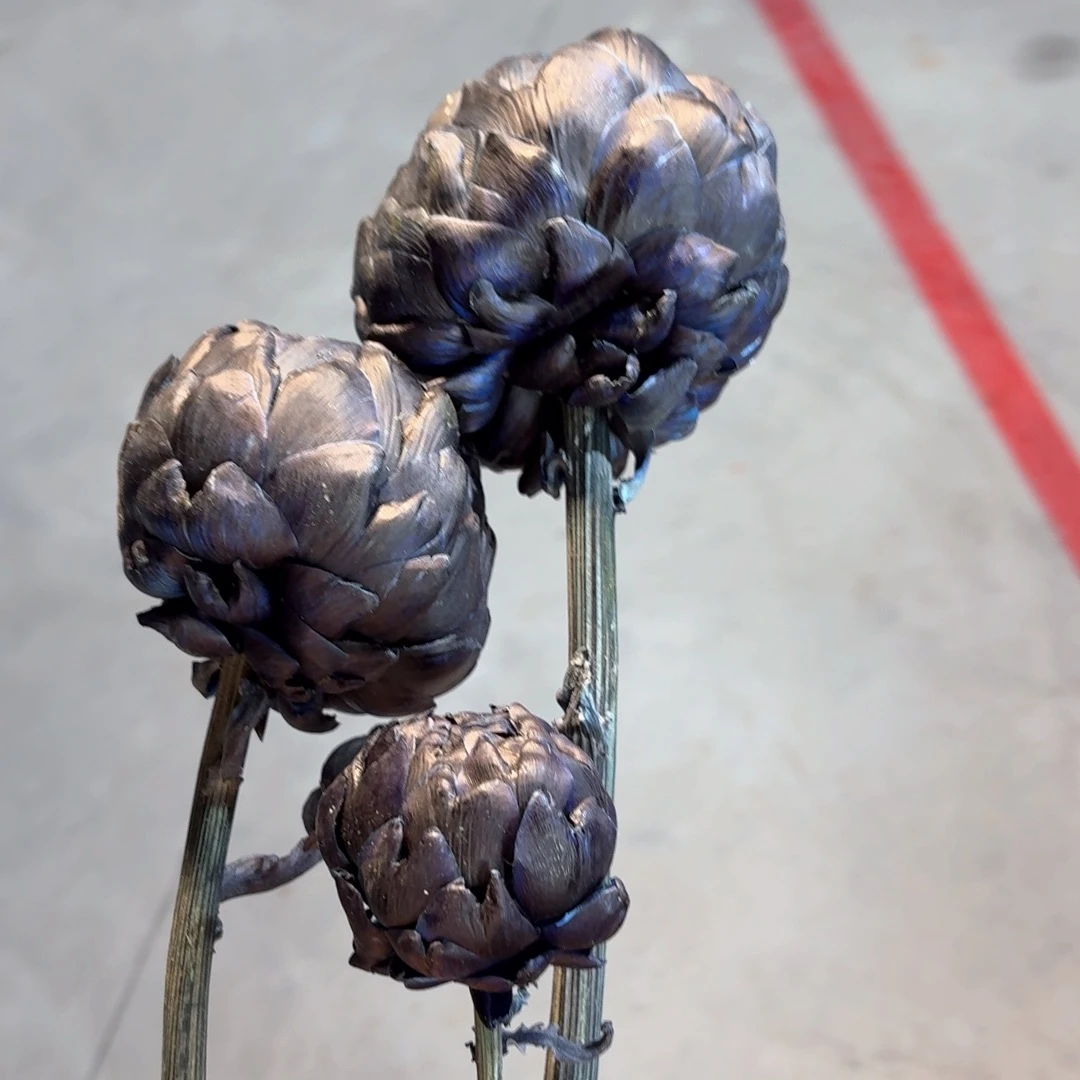 A4 多头蓝色洋蓟永生花